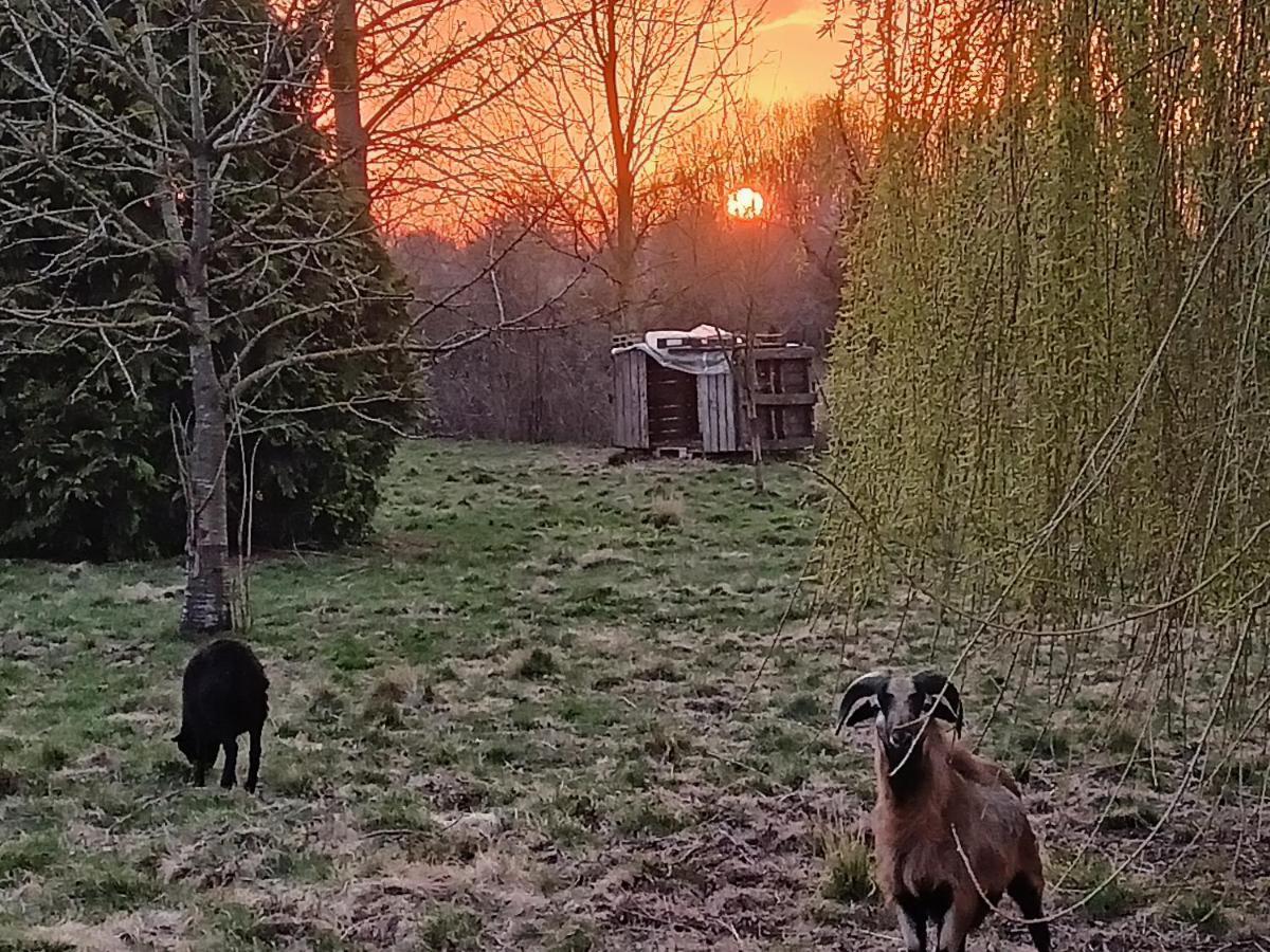 Les chambres du Vert Galant Coucher de soleil Verlinghem Exterior foto